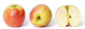 कहां होता है दुनिया का सबसे बड़ा सेब? और जाने कुछ तथ्य | Apple fact | Josforup