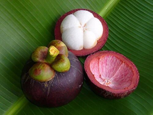 4. Mangosteen – Queen of Fruits
