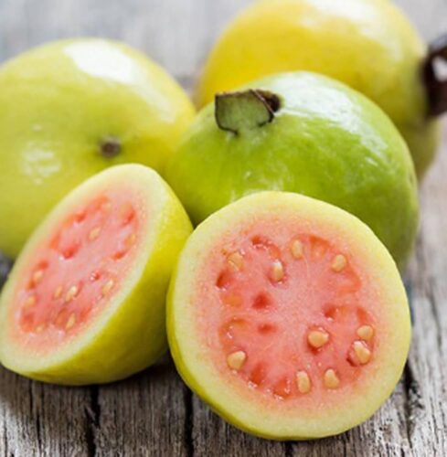 Guava (अमरूद) – Summer Star Fruit