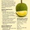 Amazing Facts About the 'King of Fruits' Durian