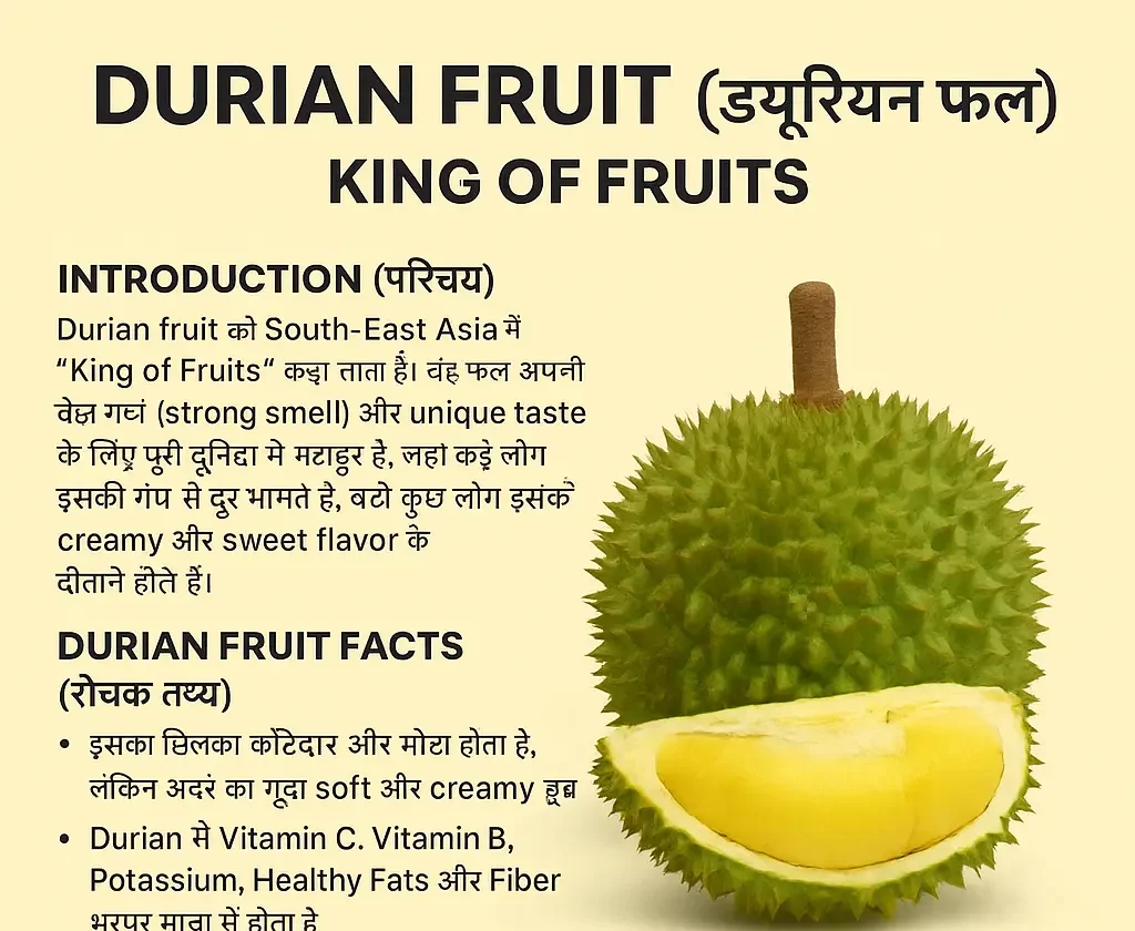 Amazing Facts About the 'King of Fruits' Durian