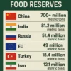 Top 10 Countries With the Largest Food Reserves