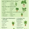 How to Choose the Best Plants for Indoor Gardening