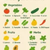 Top 20 Edible Backyard Plants (Detailed Guide)
