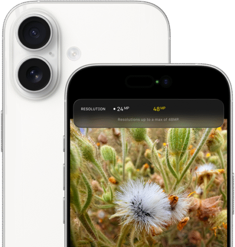 Apple iPhone 17 Unboxing & First Look - Best New iPhone For Everyone